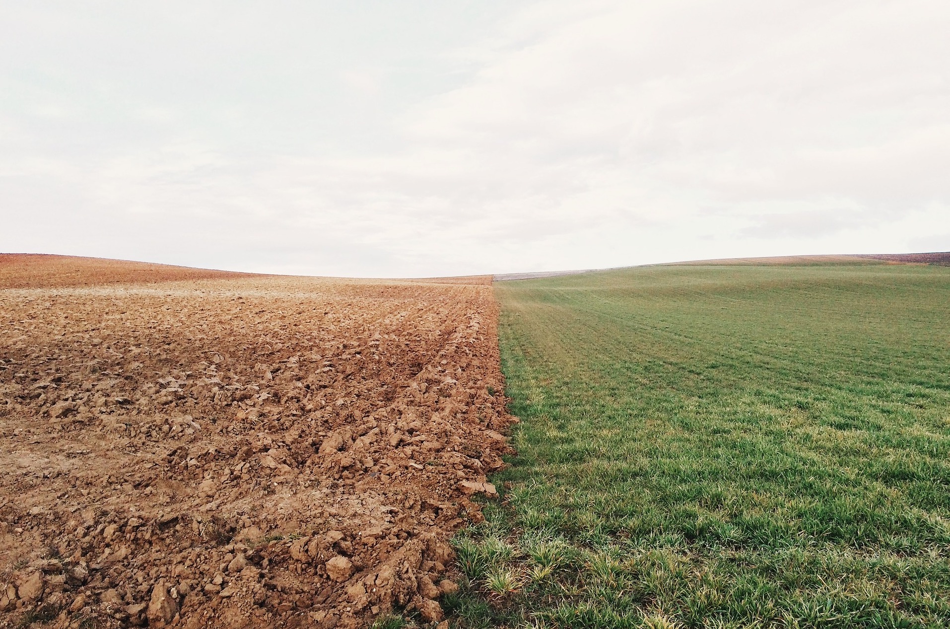 Diskussion: Carbon Farming – Allheilmittel auf dem Weg zur Klimaneutralität oder Greenwashing?