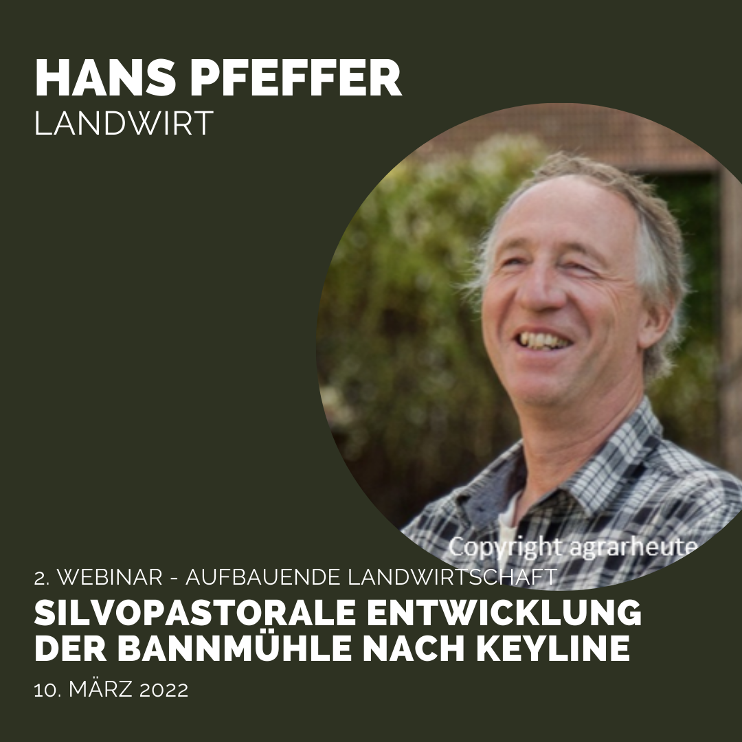 Am Donnerstag in unserer 8. Webinar-Reihe »Aufbauende Landwirtschaft«: Hans Pfeffer zu silvopastoralen Agroforstsystemen