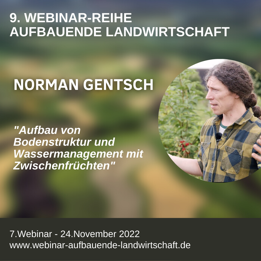 Am Donnerstag in unserer 9. Webinar-Reihe »Aufbauende Landwirtschaft«: Norman Gentsch, Zwischenfrüchte