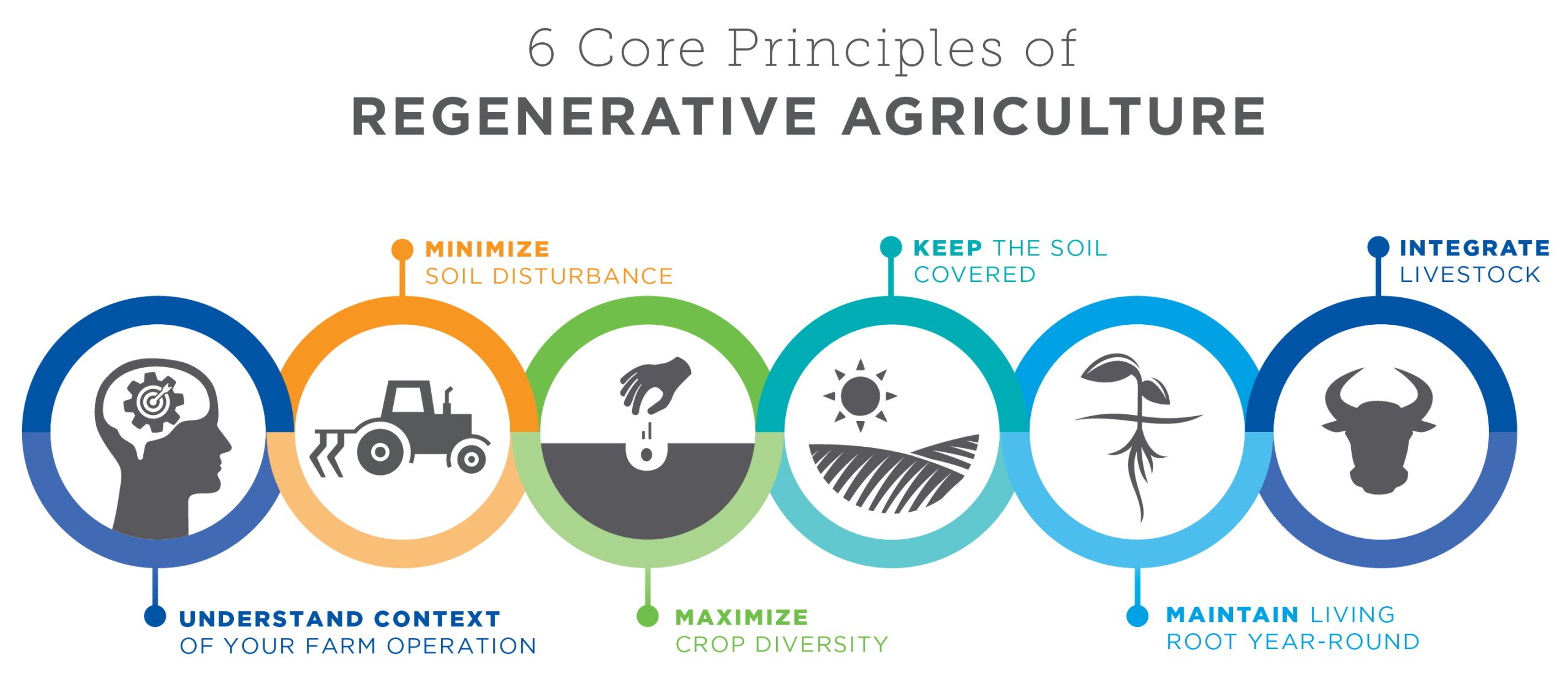 Quo vadis Begriff »Regenerative Landwirtschaft« ?