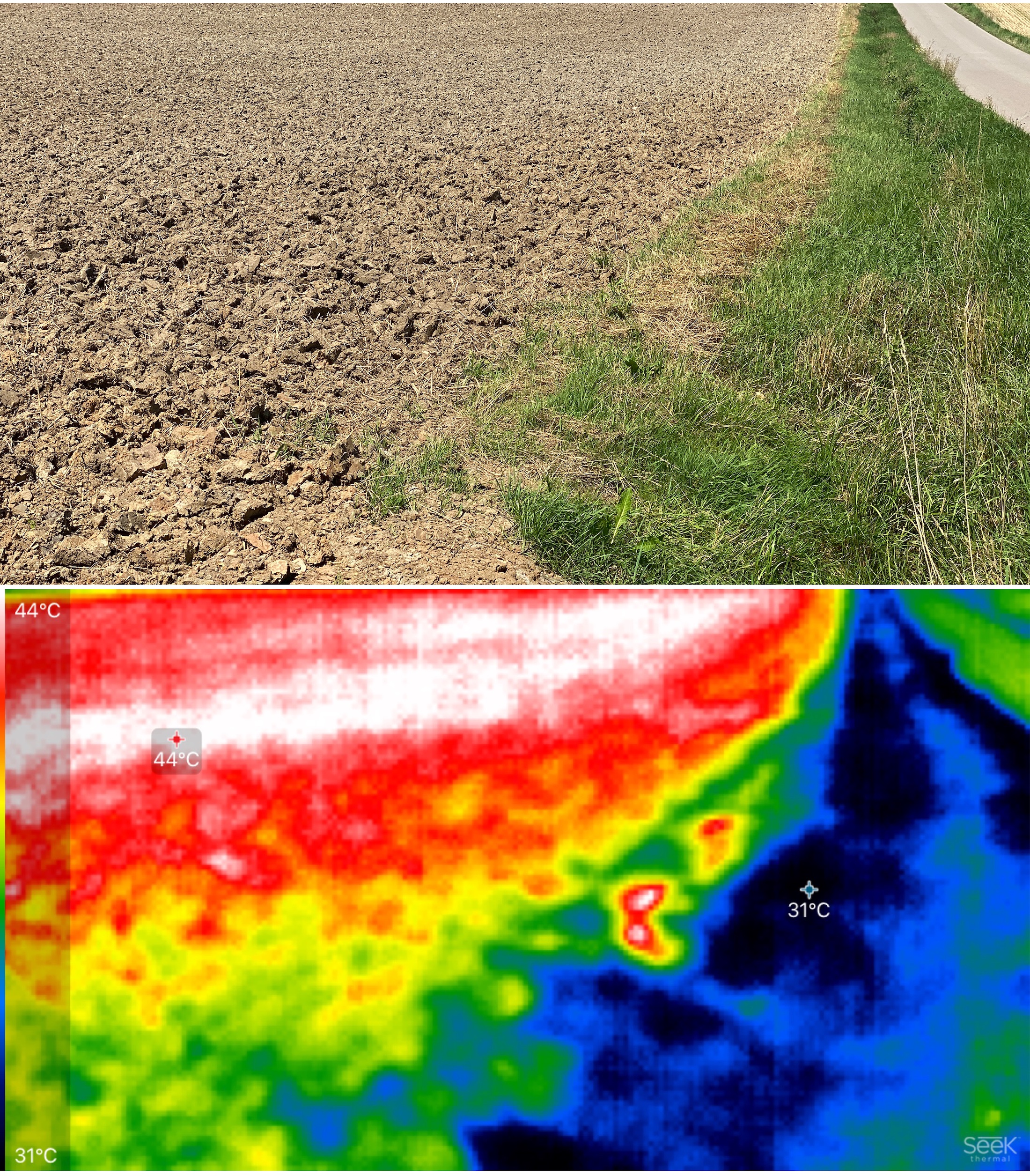 Temperatur-Unterschied Acker vs Randstreifen