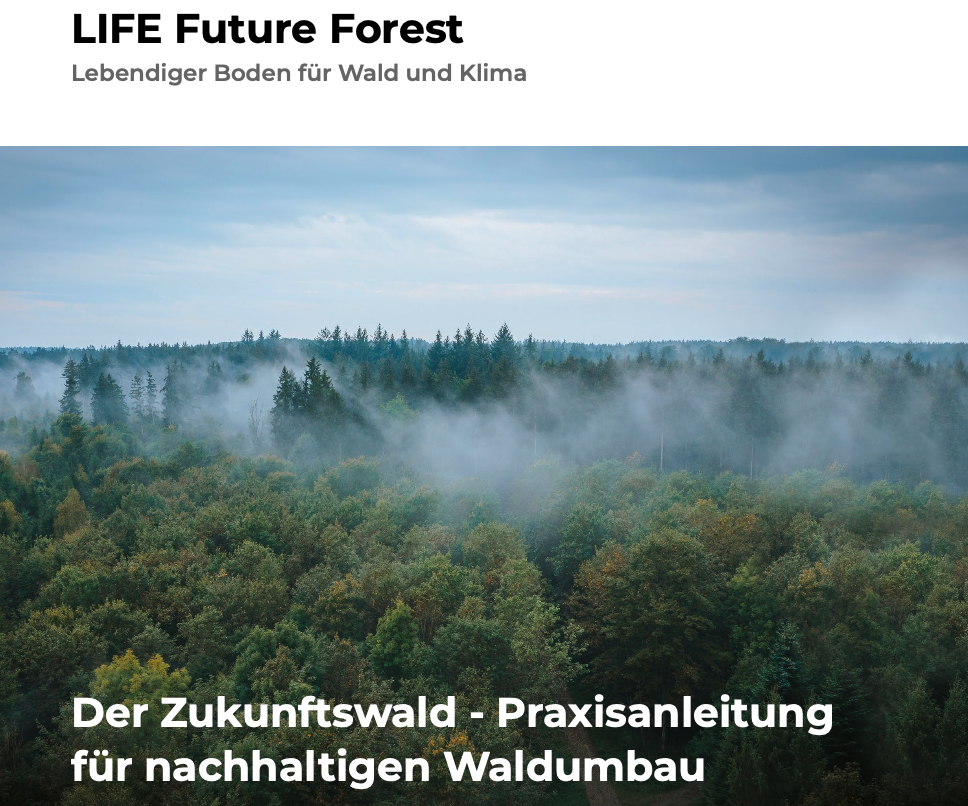 Der Zukunftswald – Praxisanleitung für nachhaltigen Waldumbau