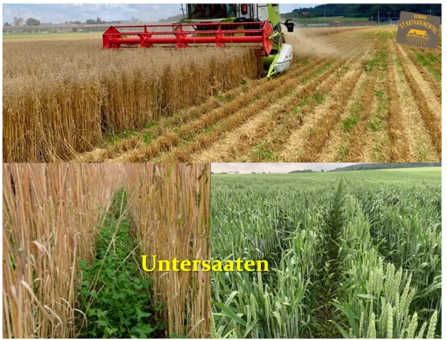 Wenn der Traktor in der Scheune bleibt