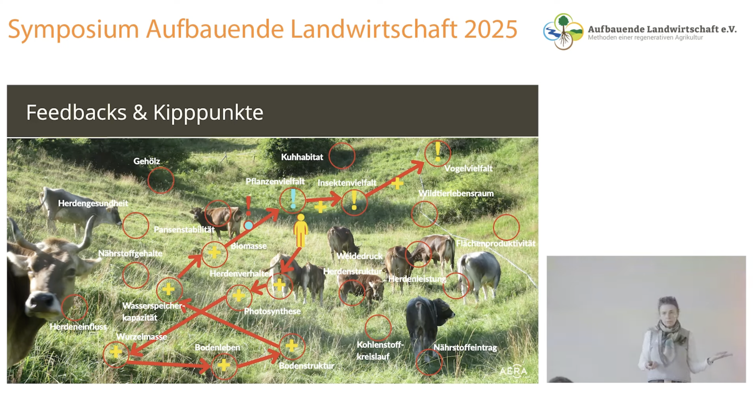 Christine Bajohr // „Der Natur auf der Spur“ – Die wichtigsten Erkenntnisse aus dem Projekt KUHproKLIMA // Symposium „Aufbauende Landwirtschaft“ 2025