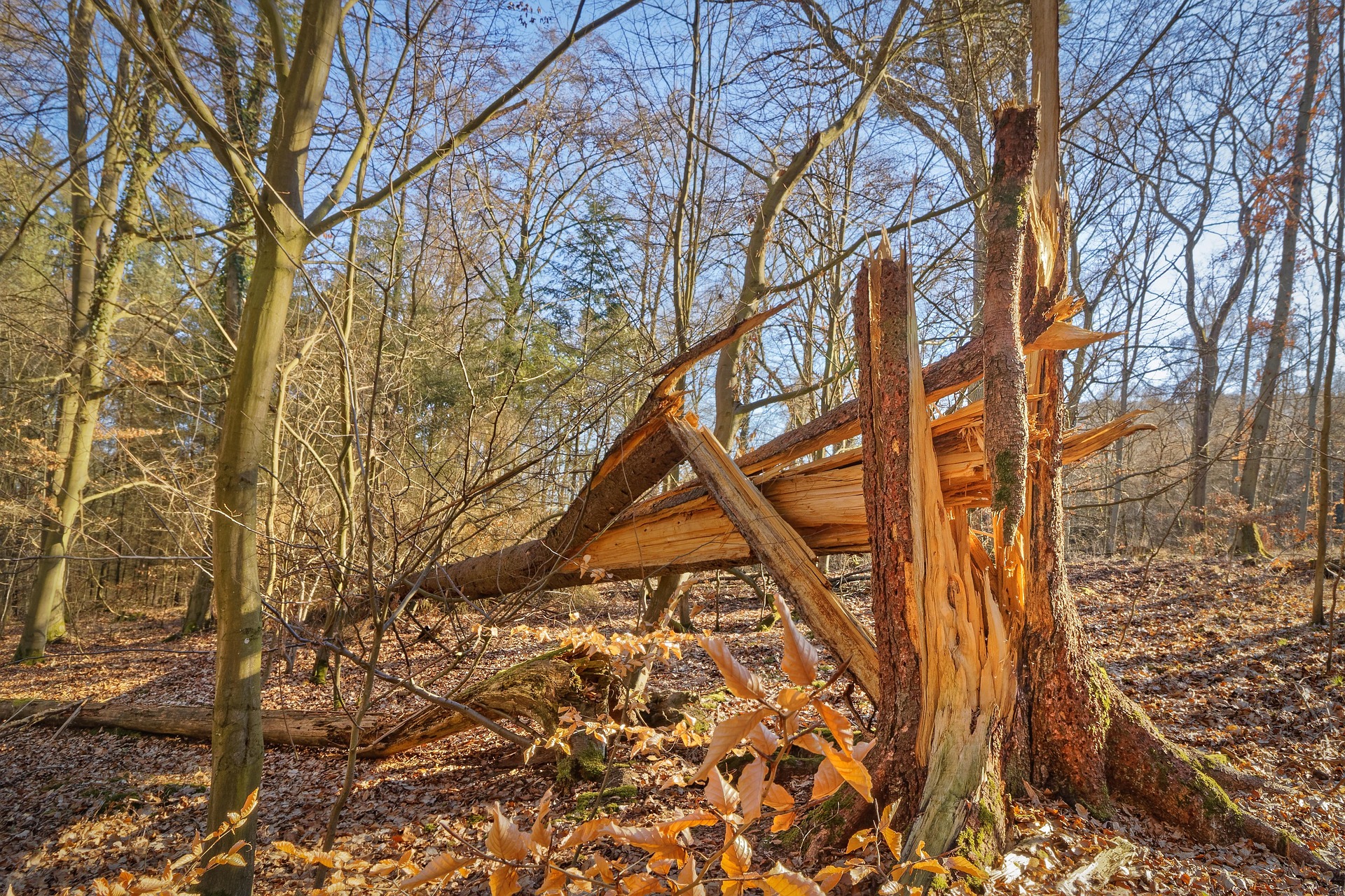Der Sturm Wiebke von 1990 hätte 1900 kaum Schäden verursacht