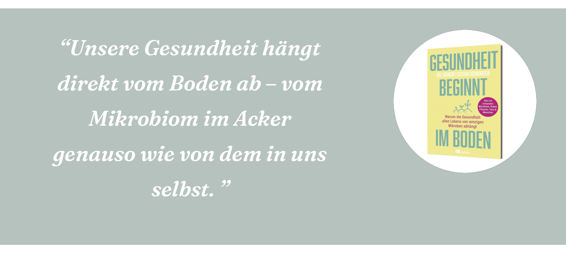 Gesundheit beginnt im Boden – Ein Gespräch mit Stefan Schwarzer über Böden, Mikroben und unsere Zukunft