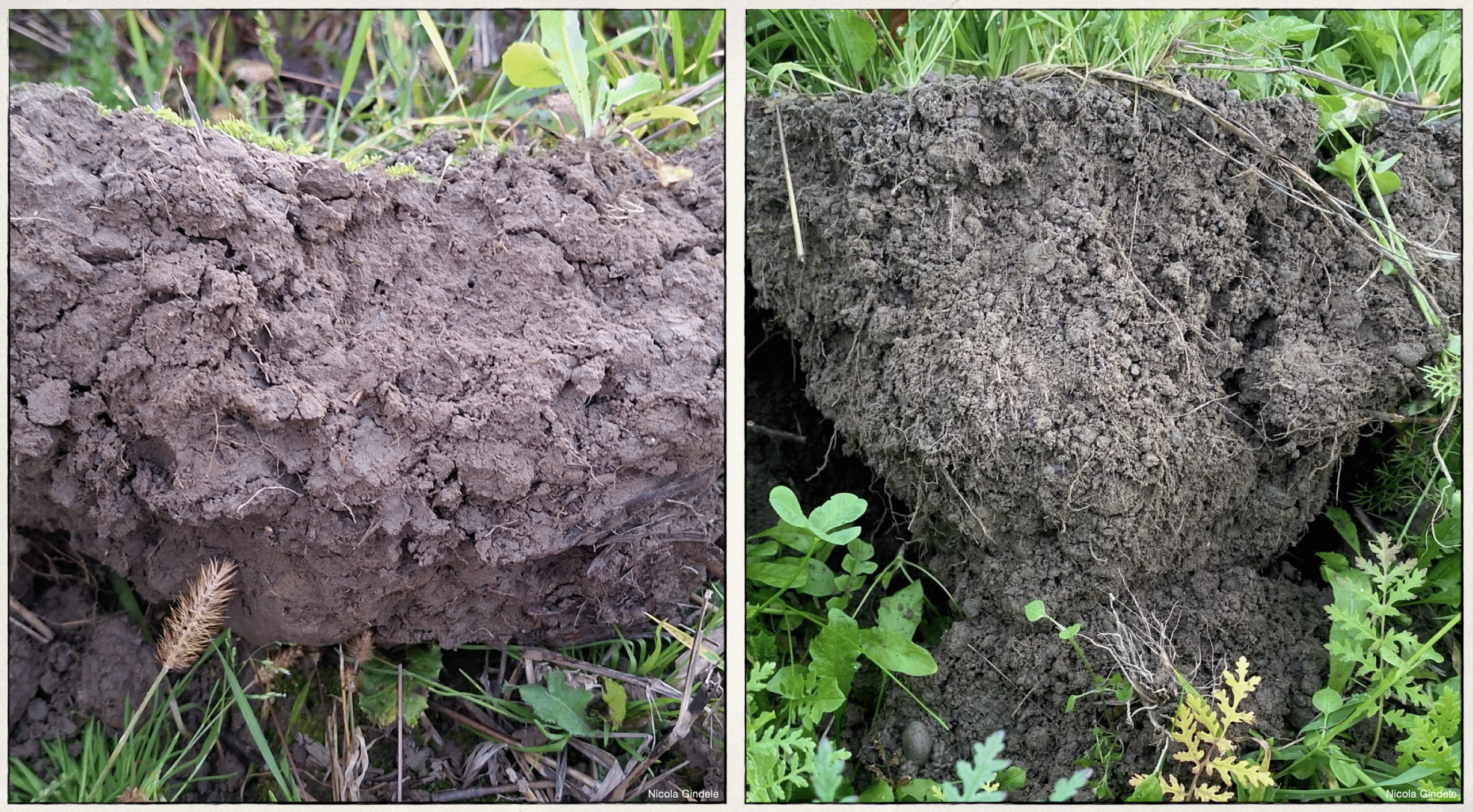 Vortragsabend „Wasser, Boden, Zukunft“ – Neustadt an der Aisch, 26.11.2025