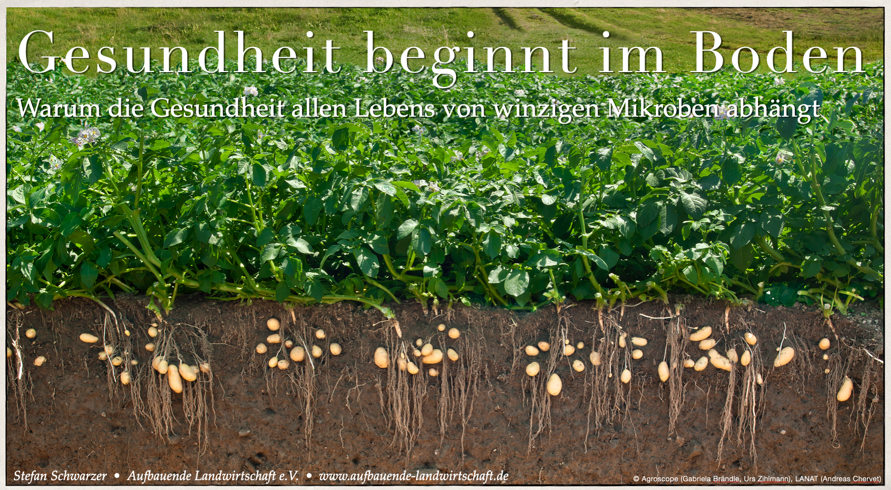 Vortrag mit Stefan Schwarzer „Gesundheit beginnt im Boden“, 13.12.25 Neumarkt i.d.OPf.